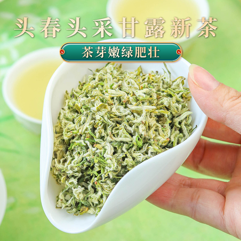 蒙顶甘露 · 明前绿茶